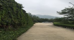 陵园风景图-26