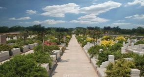 陵园风景图-2
