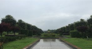 陵园风景图-6