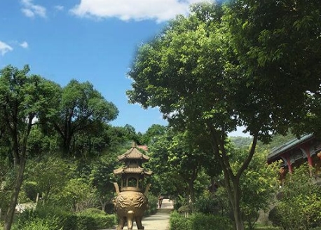 成都公墓
